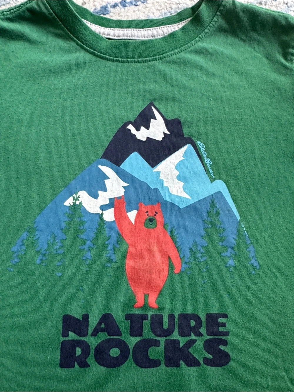 Eddie Bauer Green Short Sleeve Nature Rocks Bear Graphic T-Shirt XS Size 5-6